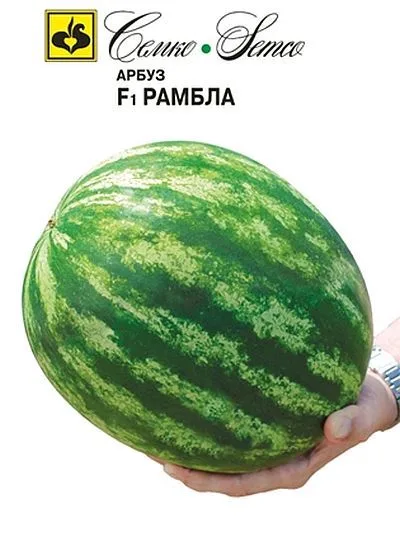 Арбуз Рамбла F1