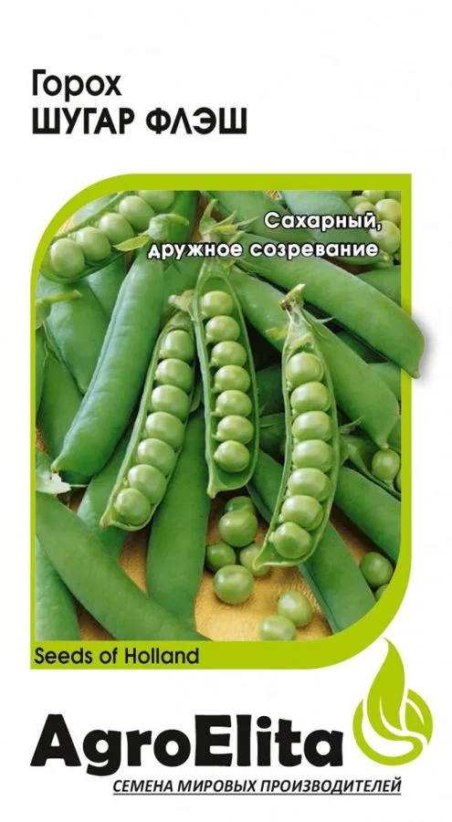 Фасоль Шугар Флэш