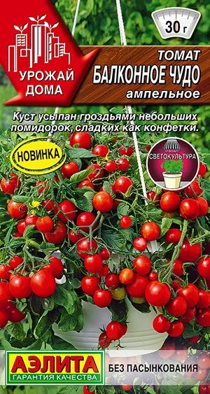 Семена: Томат Балконное чудо (ампельное)