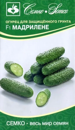 Огурец Мадрилене F1