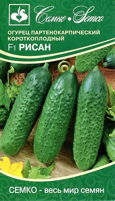 Огурец Рисан F1