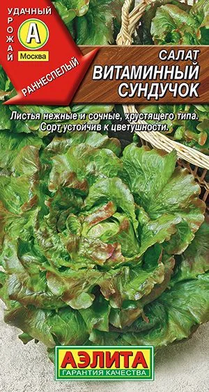 Салат Витаминный сундучок полукочанный