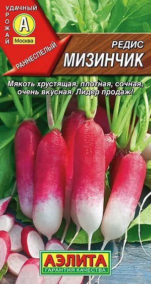 Редис Мизинчик