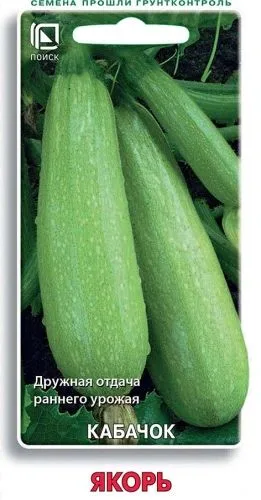 Кабачок Якорь