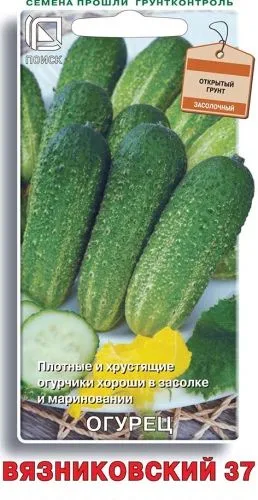 Огурец Вязниковский 37