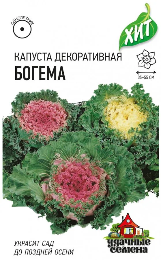 Капуста декоративная Богема