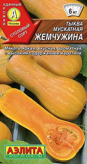 Тыква мускатная Жемчужина