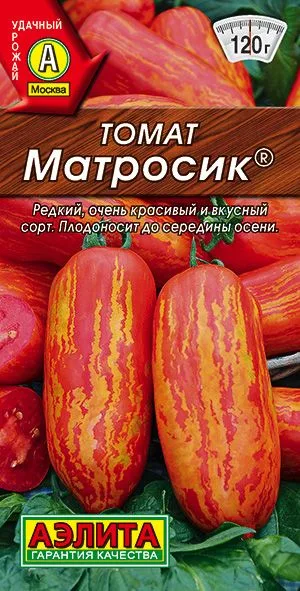 Томат Матросик