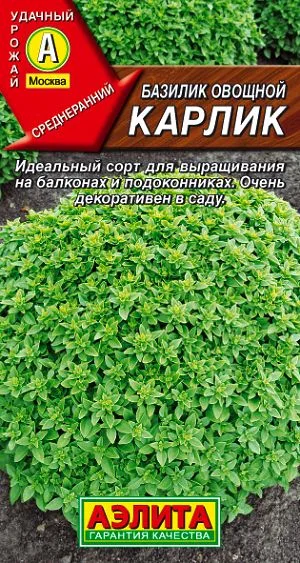 Базилик овощной Карлик