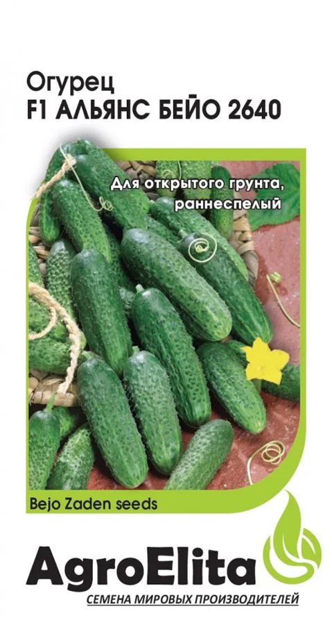 Огурец Альянс Бейо 2640 F1