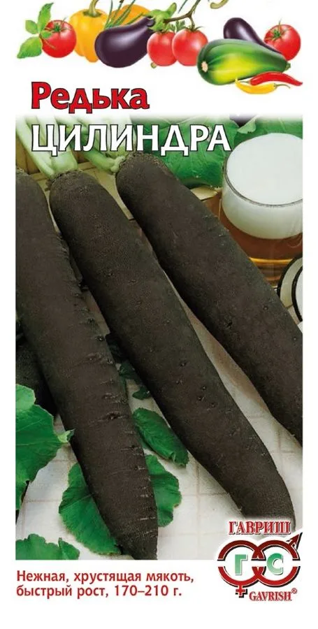 Редька Цилиндра