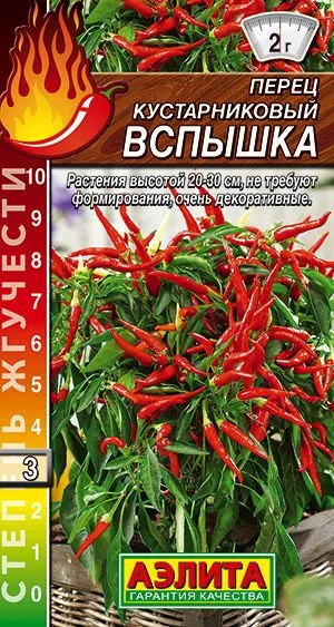 Семена: Перец кустарниковый Вспышка