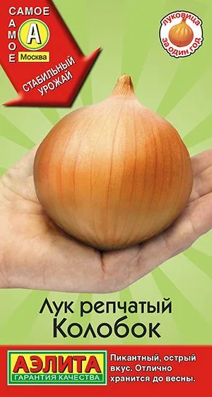 Лук репчатый Колобок