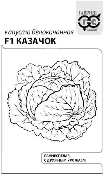 Капуста белокочанная Казачок F1