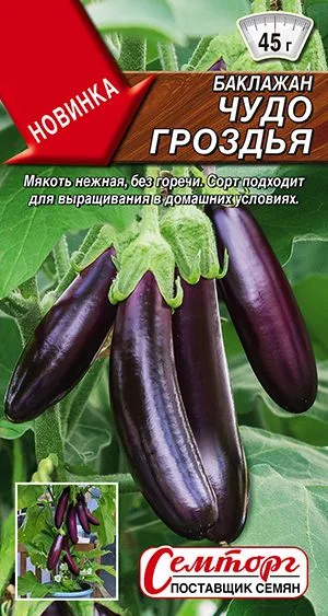 Баклажан Чудо гроздья