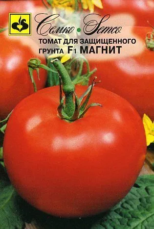 Томат Магнит F1