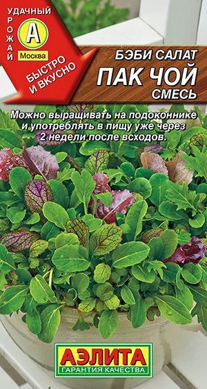 Салат Бэби салат Пак чой, смесь