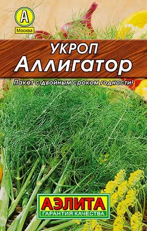 Укроп Аллигатор