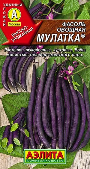 Фасоль овощная Мулатка