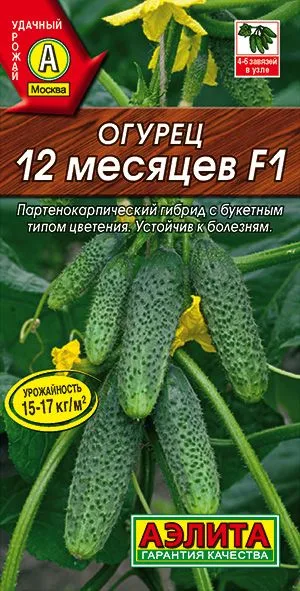 Огурец 12 месяцев F1
