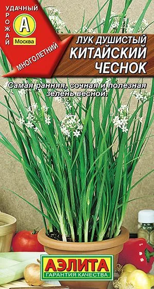 Лук душистый Китайский чеснок
