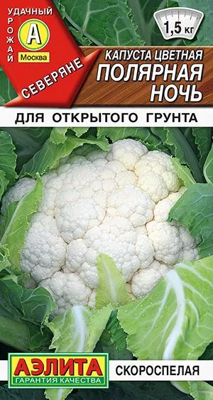 Капуста цветная Полярная ночь