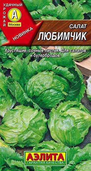 Салат Любимчик
