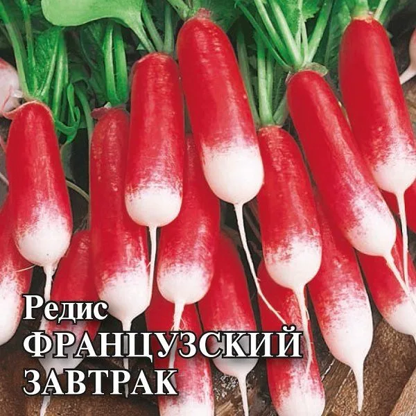 Редис Французский завтрак