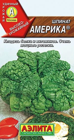 Салат Шпинат Америка