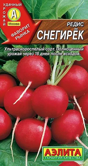 Редис Снегирек