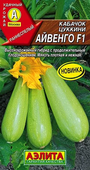 Кабачок цуккини Айвенго F1