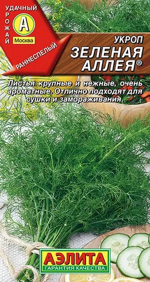 Укроп Зеленая аллея ®