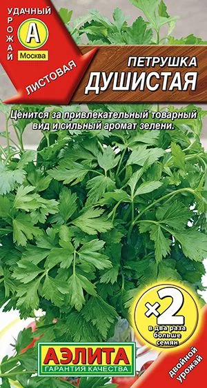 Петрушка листовая Душистая