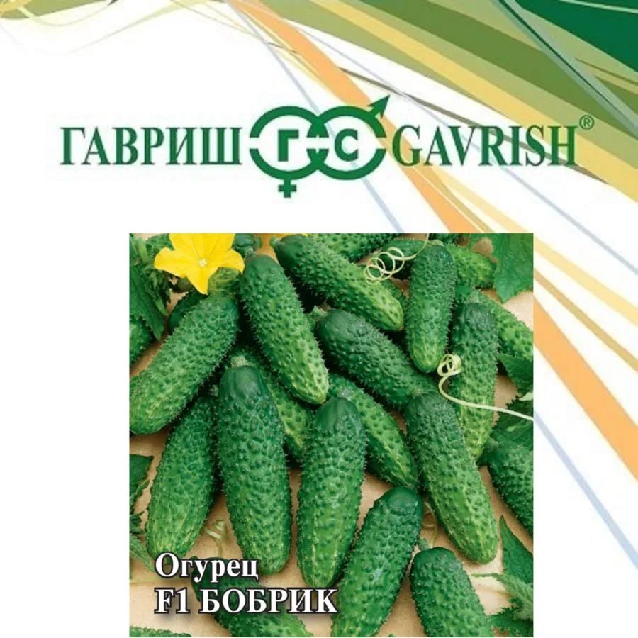 Семена: Огурец Бобрик F1