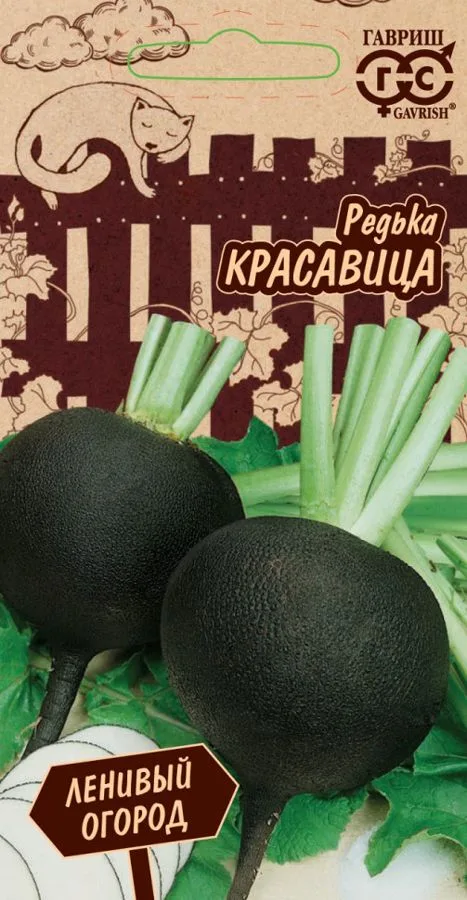 Редька Красавица
