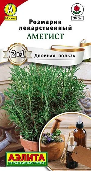 Пряные травы Розмарин Аметист
