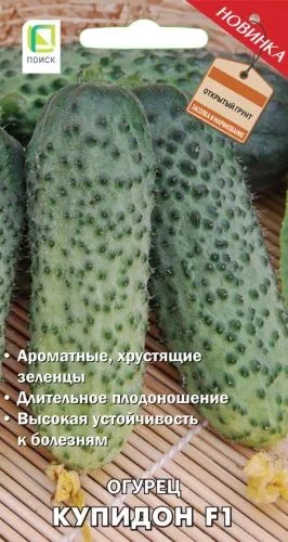 Огурец Купидон F1