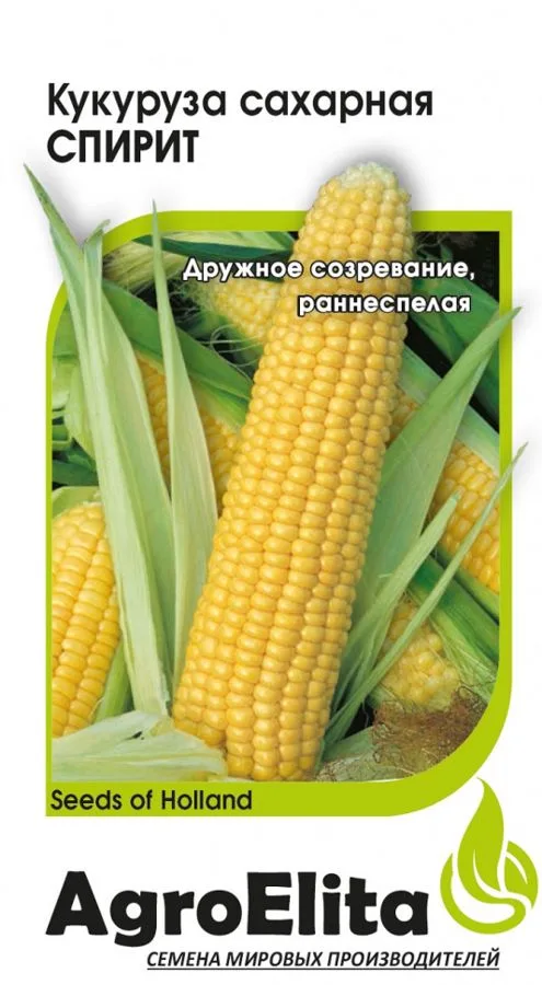 Кукуруза сахарная Спирит