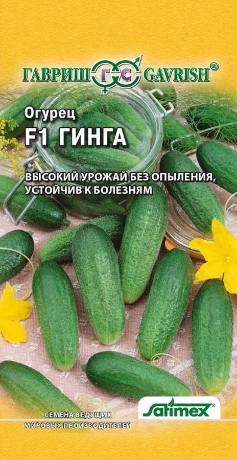 Семена: Огурец Гинга F1