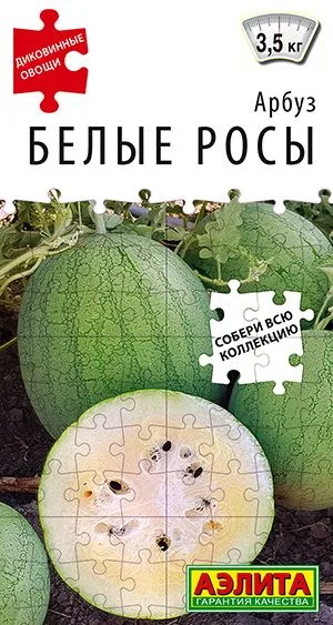 Арбуз Белые росы