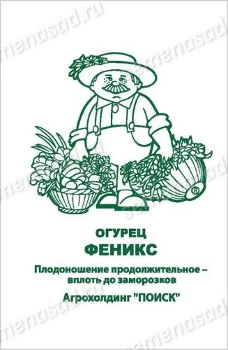 Огурец Феникс