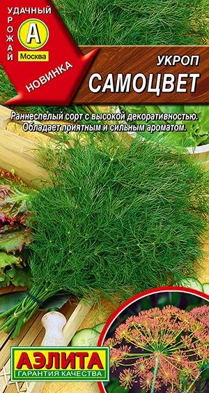 Укроп Самоцвет