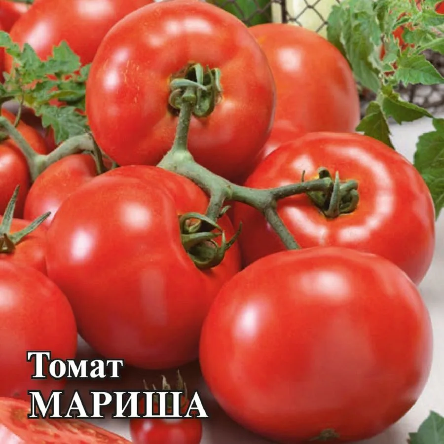 Семена: Томат Мариша