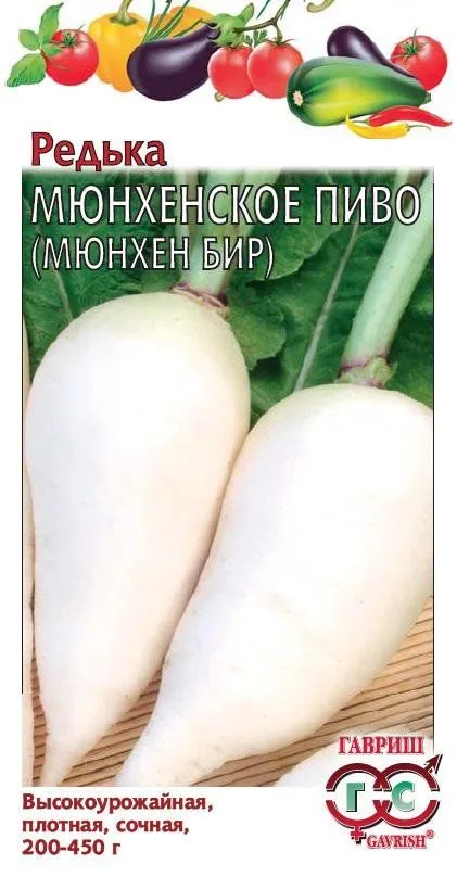 Редька Мюнхенское пиво