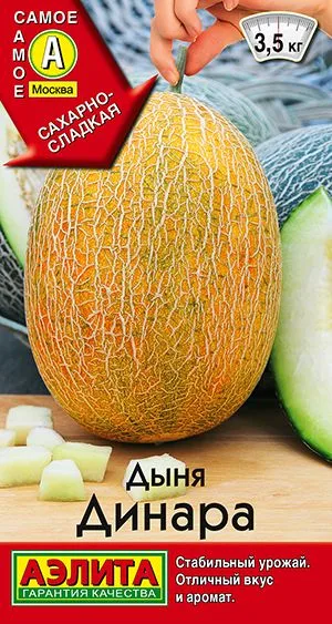 Дыня Динара