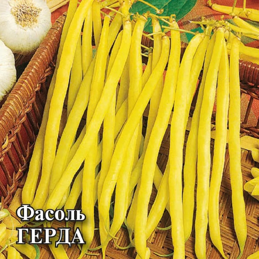 Фасоль спаржевая Герда