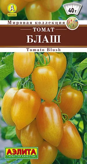 Семена: Томат Блаш