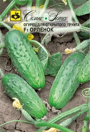 Огурец Орленок F1