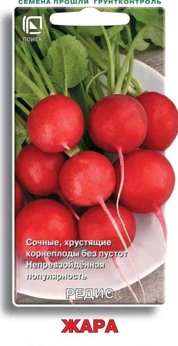 Редис Жара