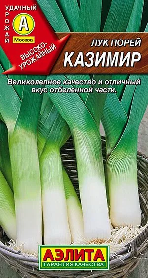 Лук порей Казимир